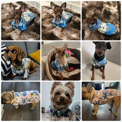 Hawaiian Shirts For Dog/Cat
