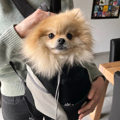 Furry Friend Carrier Backpack